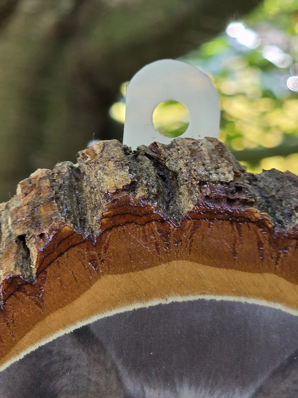 Wood Slice Wall Cabin Art with Wolf and Eagle